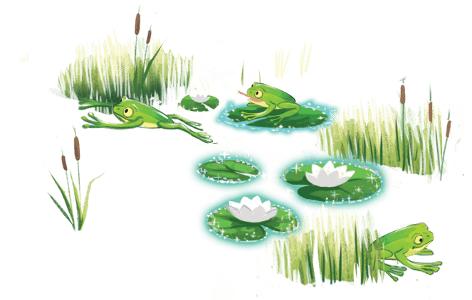 Lily pads and Frogs